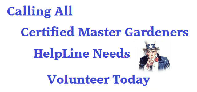 helpline_needs_you